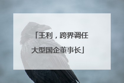 王利，跨界调任大型国企董事长