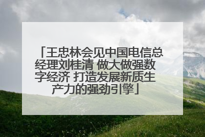 王忠林会见中国电信总经理刘桂清 做大做强数字经济 打造发展新质生产力的强劲引擎