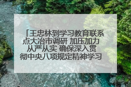 王忠林到学习教育联系点大冶市调研 加压加力 从严从实 确保深入贯彻中央八项规定精神学习教育取得实效