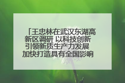 王忠林在武汉东湖高新区调研 以科技创新引领新质生产力发展 加快打造具有全国影响力的科技创新高地