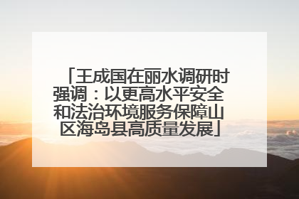 王成国在丽水调研时强调：以更高水平安全和法治环境服务保障山区海岛县高质量发展