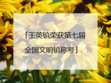 王英镇荣获第七届全国文明镇称号