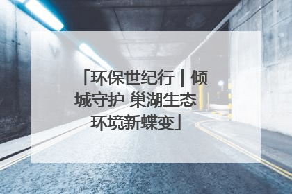 环保世纪行｜倾城守护 巢湖生态环境新蝶变