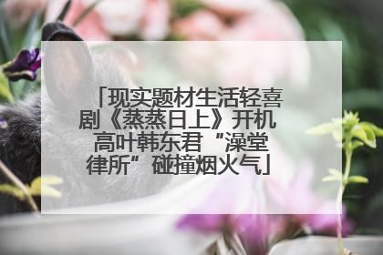 现实题材生活轻喜剧《蒸蒸日上》开机 高叶韩东君“澡堂律所”碰撞烟火气
