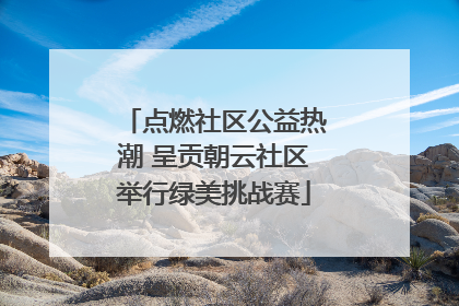 点燃社区公益热潮 呈贡朝云社区举行绿美挑战赛