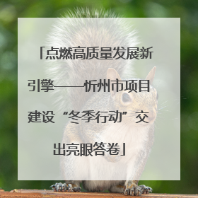 点燃高质量发展新引擎——忻州市项目建设“冬季行动”交出亮眼答卷