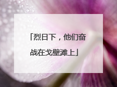 烈日下，他们奋战在戈壁滩上