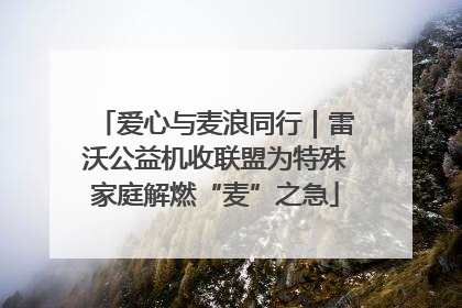 爱心与麦浪同行｜雷沃公益机收联盟为特殊家庭解燃“麦”之急