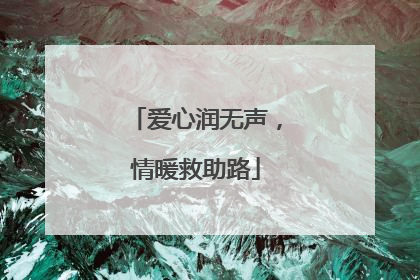 爱心润无声，情暖救助路
