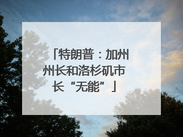 特朗普：加州州长和洛杉矶市长“无能”