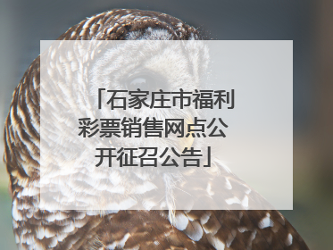 石家庄市福利彩票销售网点公开征召公告