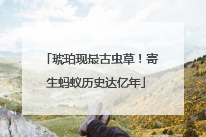 琥珀现最古虫草！寄生蚂蚁历史达亿年