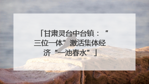 甘肃灵台中台镇：“三位一体”激活集体经济“一池春水”