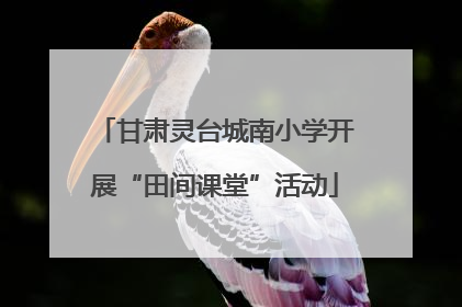 甘肃灵台城南小学开展“田间课堂”活动
