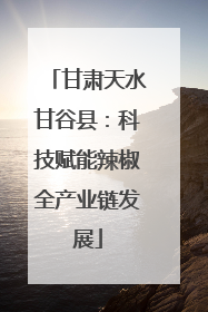 甘肃天水甘谷县：科技赋能辣椒全产业链发展