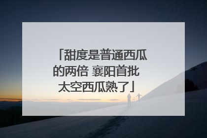 甜度是普通西瓜的两倍 襄阳首批太空西瓜熟了