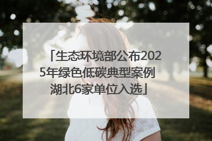 生态环境部公布2025年绿色低碳典型案例 湖北6家单位入选