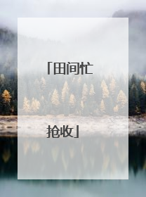 田间忙抢收