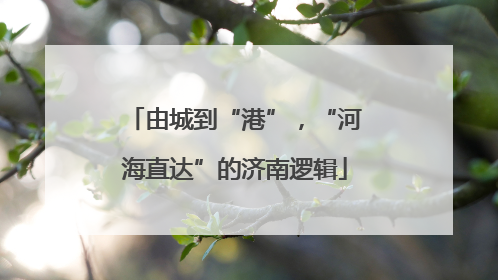 由城到“港”，“河海直达”的济南逻辑