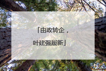 由政转企，叶建强履新