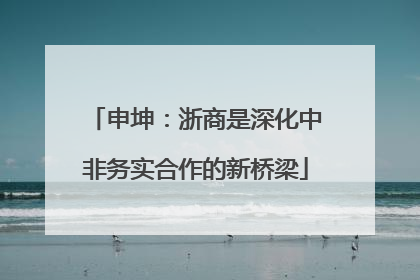 申坤：浙商是深化中非务实合作的新桥梁