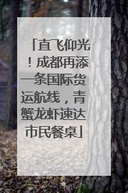 直飞仰光！成都再添一条国际货运航线，青蟹龙虾速达市民餐桌