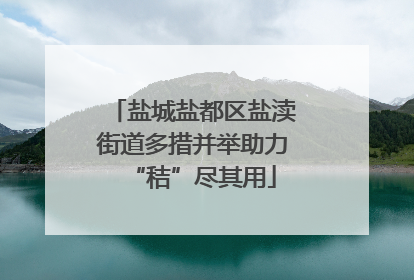 盐城盐都区盐渎街道多措并举助力“秸”尽其用