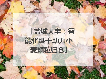 盐城大丰：智能化烘干助力小麦颗粒归仓