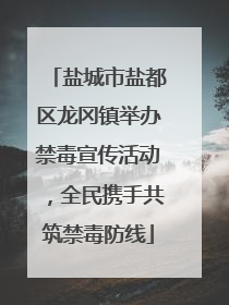 盐城市盐都区龙冈镇举办禁毒宣传活动，全民携手共筑禁毒防线