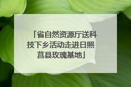 省自然资源厅送科技下乡活动走进日照莒县玫瑰基地
