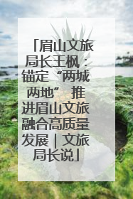 眉山文旅局长王枫：锚定“两城两地” 推进眉山文旅融合高质量发展｜文旅局长说