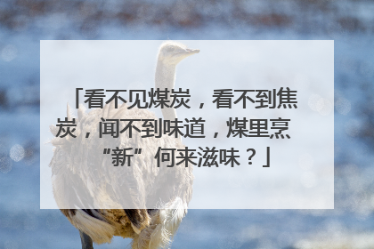 看不见煤炭，看不到焦炭，闻不到味道，煤里烹“新”何来滋味？