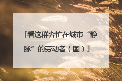 看这群奔忙在城市“静脉”的劳动者（图）