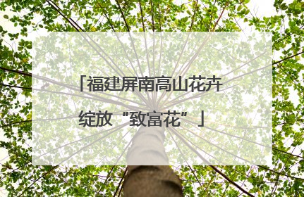 福建屏南高山花卉绽放“致富花”
