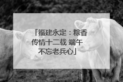 福建永定：粽香传情十二载 端午不忘老兵心