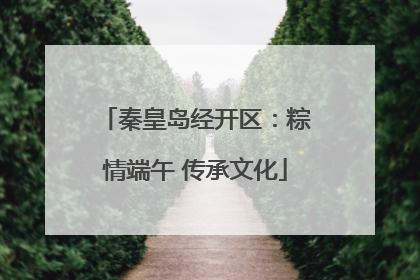 秦皇岛经开区：粽情端午 传承文化