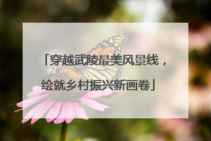 穿越武陵最美风景线，绘就乡村振兴新画卷