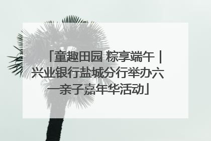 童趣田园 粽享端午｜兴业银行盐城分行举办六一亲子嘉年华活动