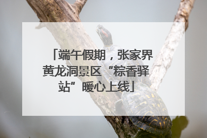 端午假期，张家界黄龙洞景区“粽香驿站”暖心上线