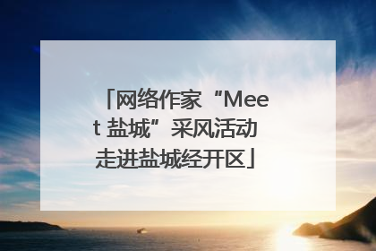 网络作家“Meet 盐城”采风活动走进盐城经开区