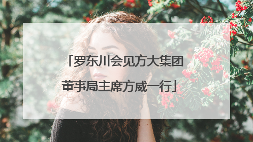 罗东川会见方大集团董事局主席方威一行