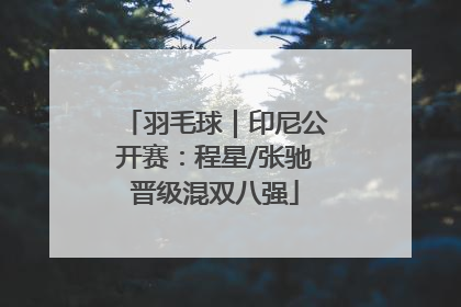 羽毛球｜印尼公开赛：程星/张驰晋级混双八强