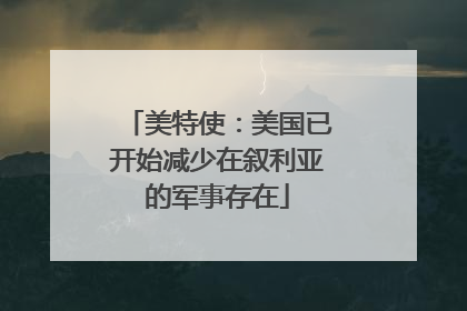 美特使：美国已开始减少在叙利亚的军事存在