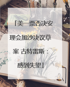 美一票否决安理会加沙决议草案 古特雷斯：感到失望