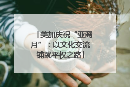 美加庆祝“亚裔月”：以文化交流铺就平权之路