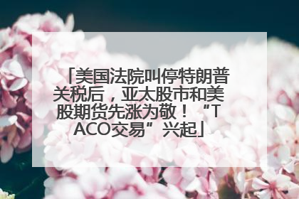 美国法院叫停特朗普关税后，亚太股市和美股期货先涨为敬！“TACO交易”兴起