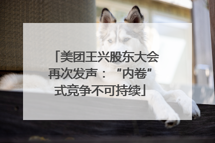 美团王兴股东大会再次发声：“内卷”式竞争不可持续