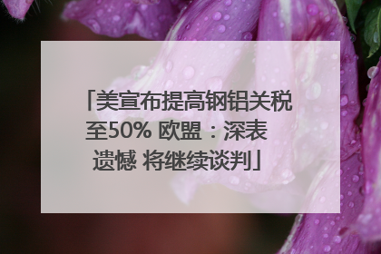 美宣布提高钢铝关税至50% 欧盟：深表遗憾 将继续谈判