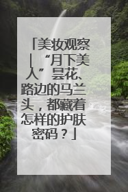 美妆观察｜“月下美人”昙花、路边的马兰头，都藏着怎样的护肤密码？