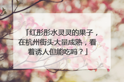 红彤彤水灵灵的果子，在杭州街头大量成熟，看着诱人但能吃吗？